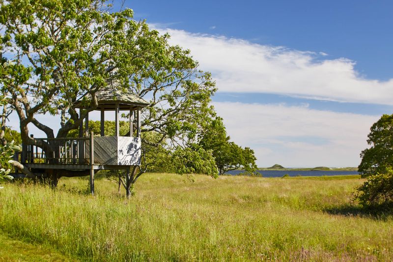 Rumah Istri John F Kennedy Dijual Rp950 Miliar