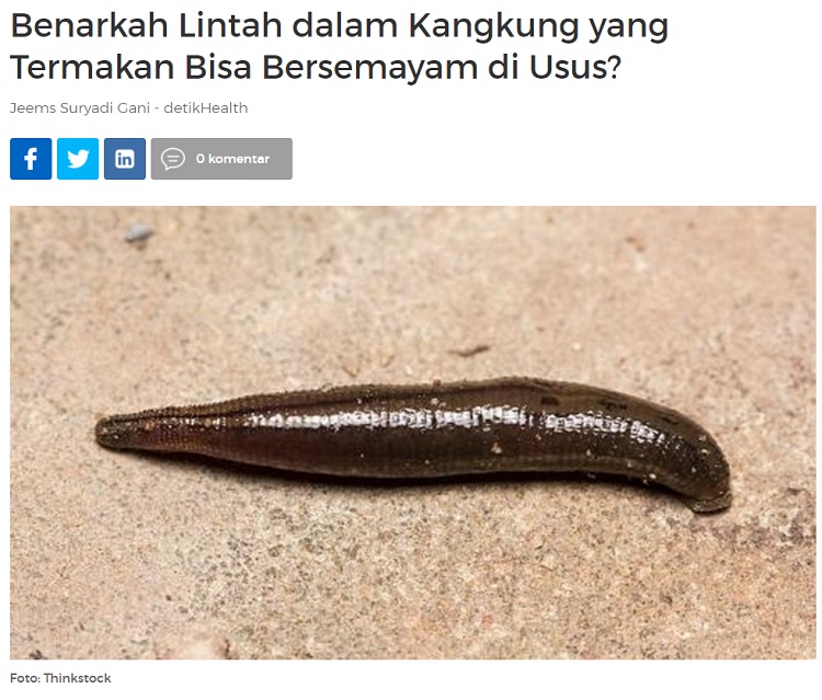 [Cek Fakta] Pemuda di Solo Meninggal Usai Makan Kangkung Berisi Lintah? Ini Faktanya