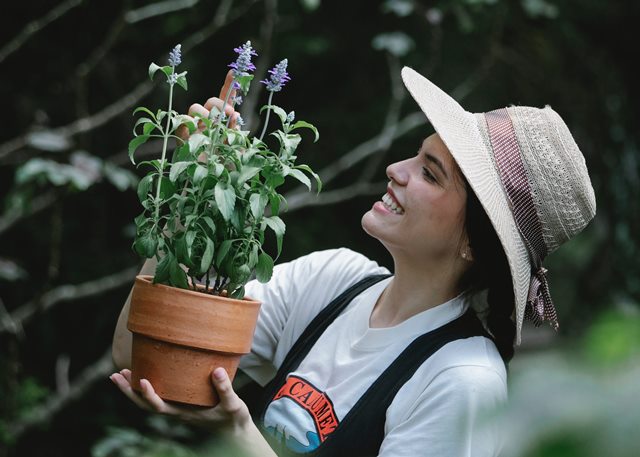 tren warna terbaru interior