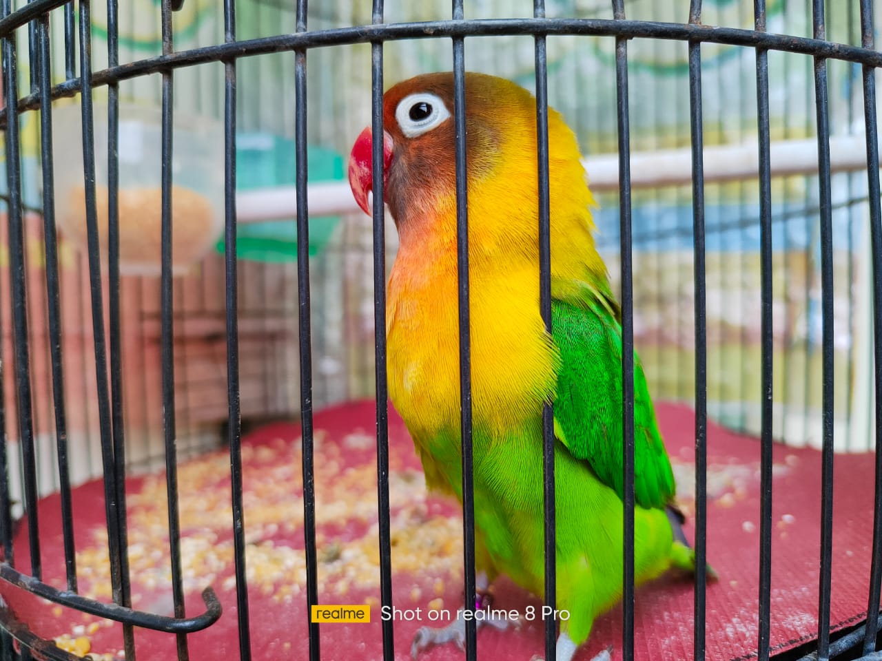 Review realme 8 Pro, Punya Spesifikasi Mumpuni dan Menarik