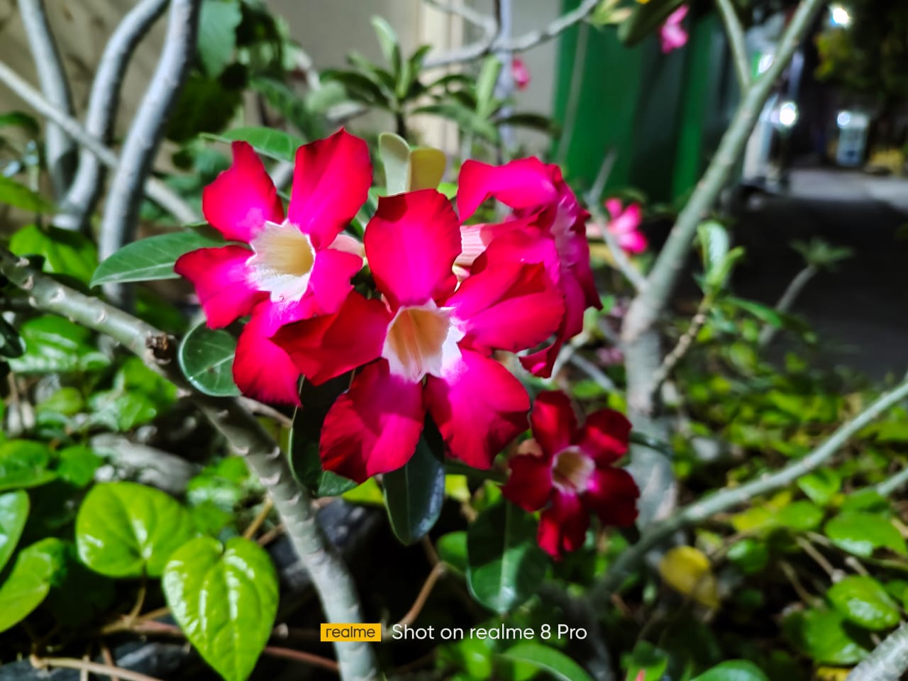 Review realme 8 Pro, Punya Spesifikasi Mumpuni dan Menarik