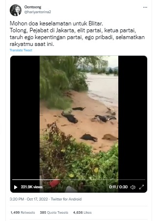 [Cek Fakta] Benarkah Video Banyak Sapi Terseret Banjir Ini di Blitar? Simak Faktanya