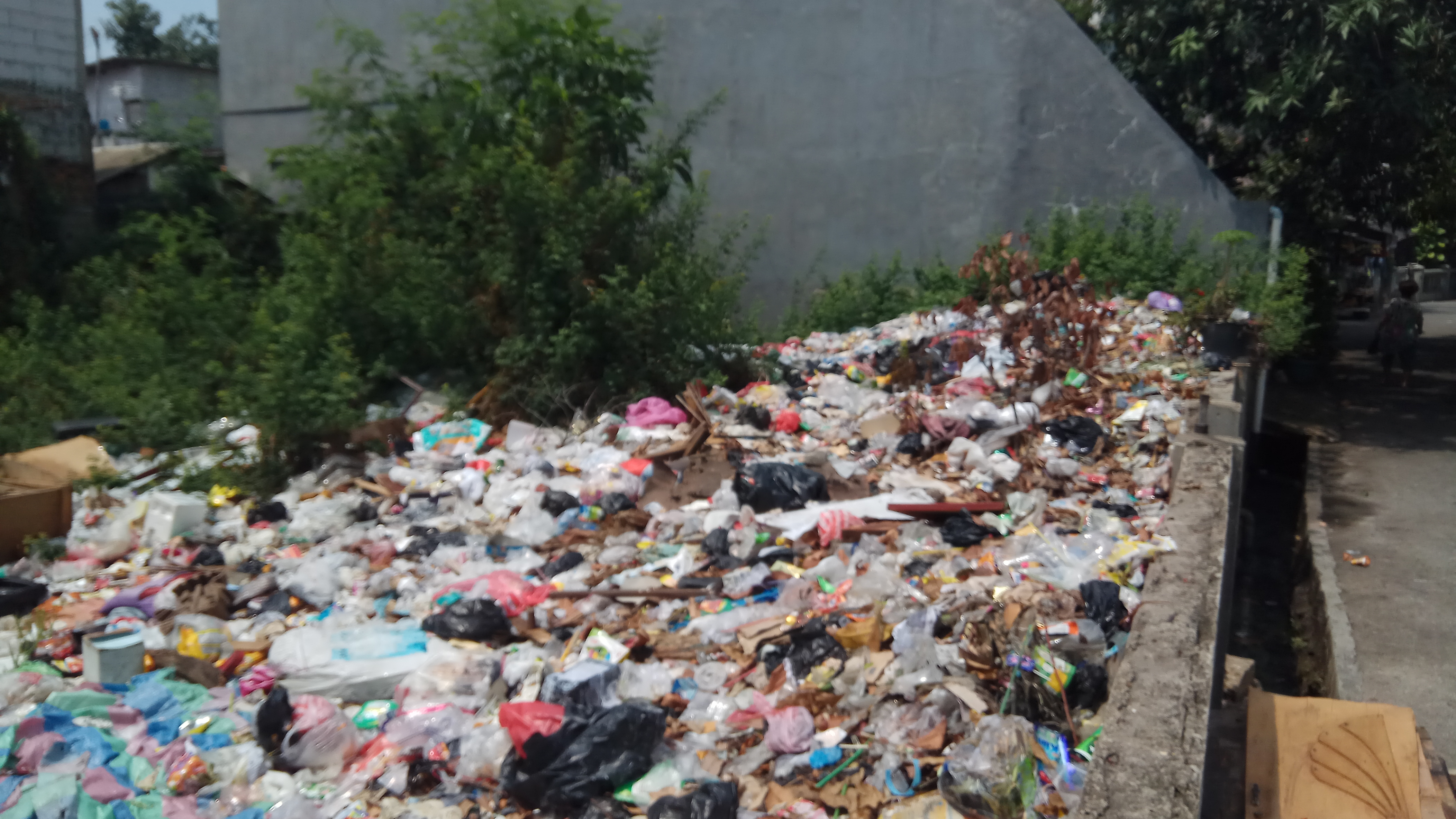 Lokasi Serangan Hama Ulat Bulu di Semper adalah TPS Ilegal