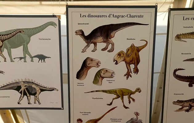 Fosil Dinosaurus Era Jurassic Ditemukan di Prancis Selatan