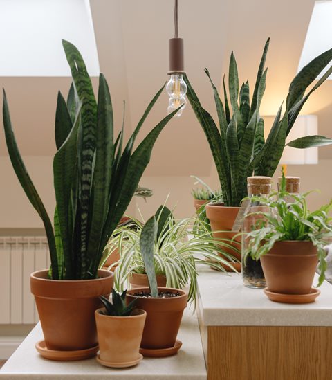 tren warna terbaru interior