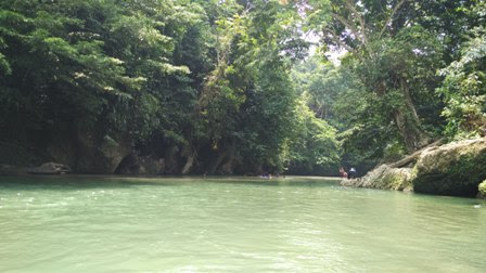 Fun Vacation at Tangkahan Tropical Rainforest