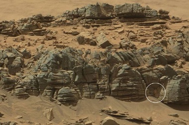 Foto NASA Perlihatkan Hewan Mirip Kepiting di Mars