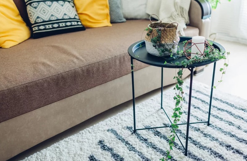 5 Tanaman Gantung Ini Bikin Dekorasi Rumah Makin Cantik