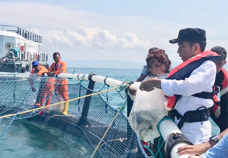 Cerita 'Susinisasi' Menteri Susi