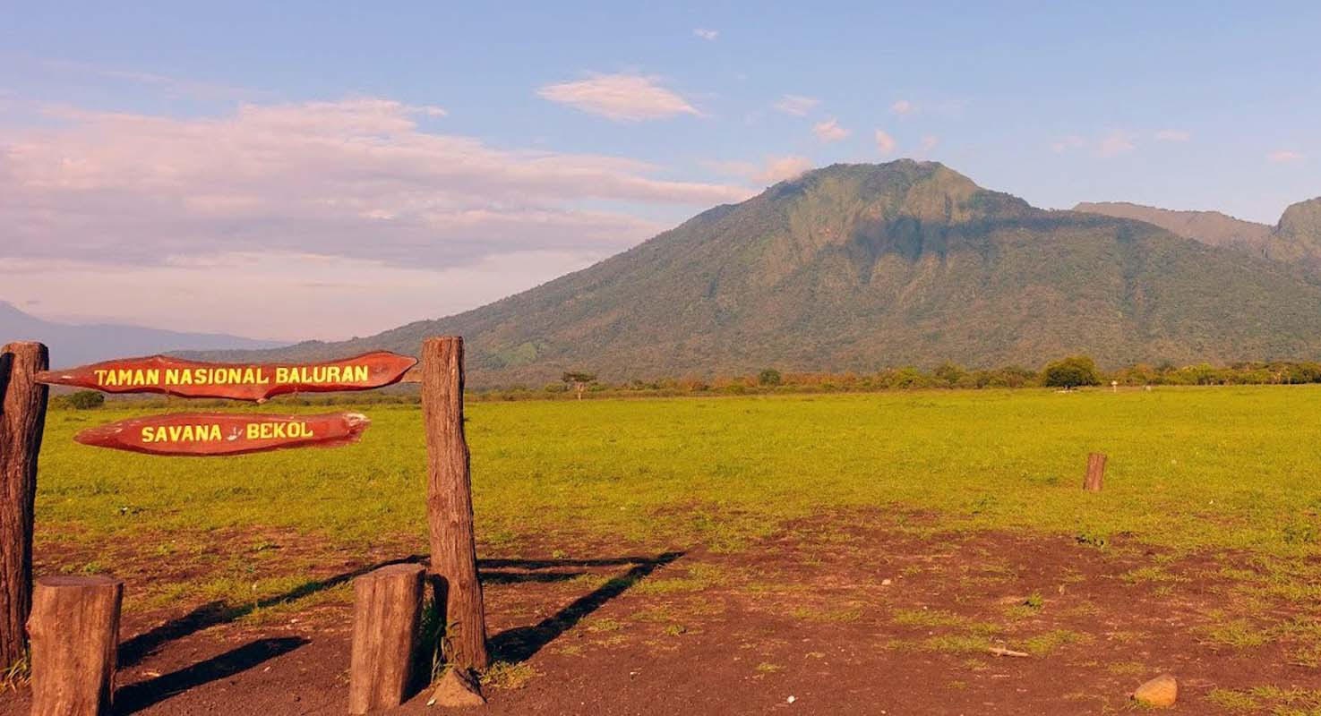5 Taman Nasional di Indonesia, Lengkap dengan Sejarah dan Fungsi