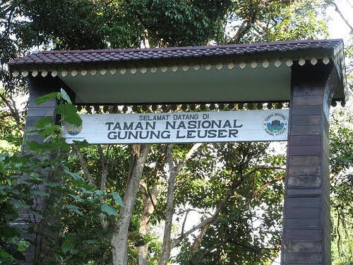 5 Taman Nasional di Indonesia, Lengkap dengan Sejarah dan Fungsi