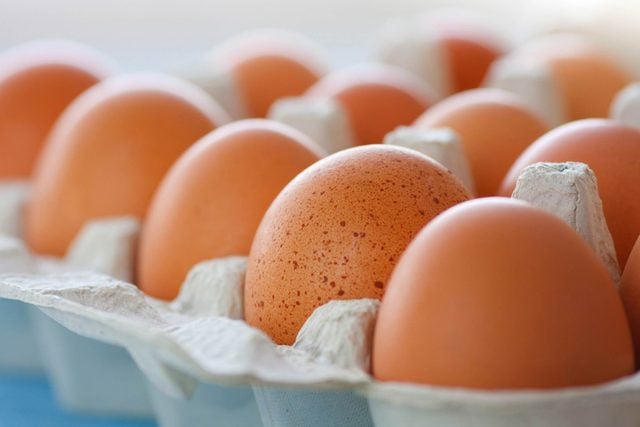 Cara Ampuh Mengusir Cicak, Pakai Bahan di Dapur