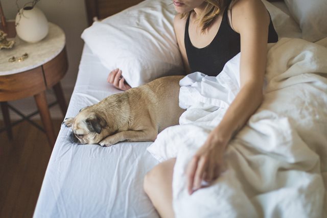 Ini Artinya Jika Anda Cepat Tertidur