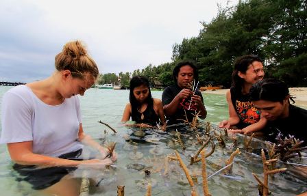 BTN dan Warga Karimunjawa Tanam Terumbu Karang