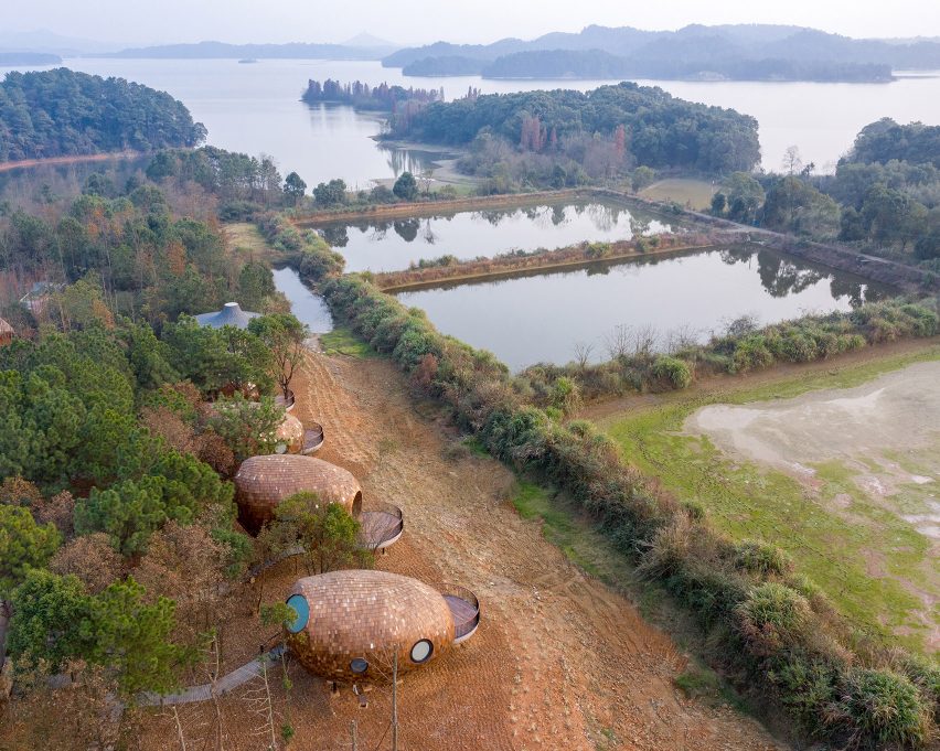The Seeds, Kabin Berbentuk Benih di Tengah Hutan