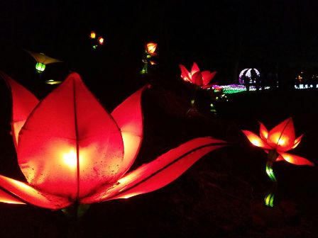 Air Mancur Menari dan Ribuan Lampion Pukau Pengunjung TSTJ Solo