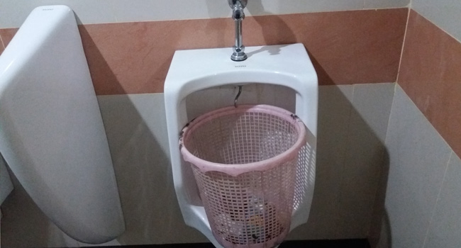 Diduga Korupsi, Anggaran Toilet DPRD DKI Disebut Lolos Audit BPK