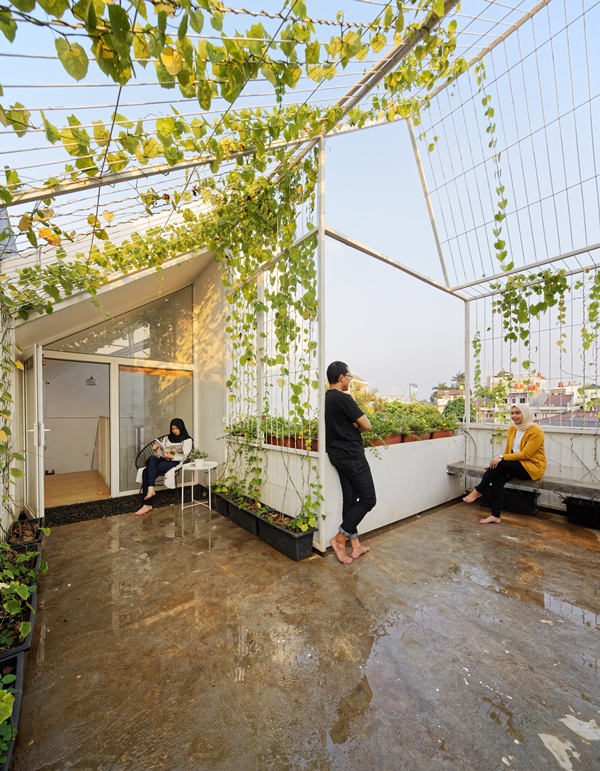 Trow House, Solusi Hunian dengan Lahan Terbatas