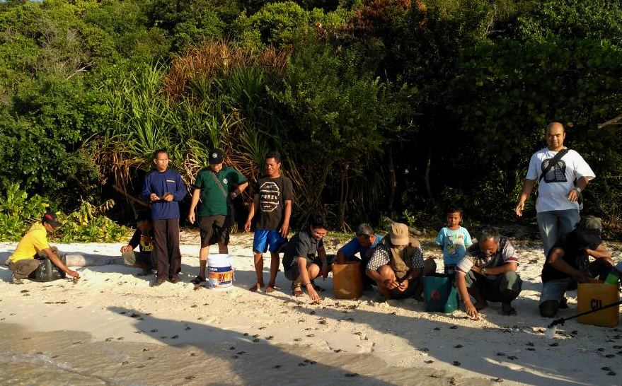 Ngabuburit Asyik dengan Melepasliarkan Tukik