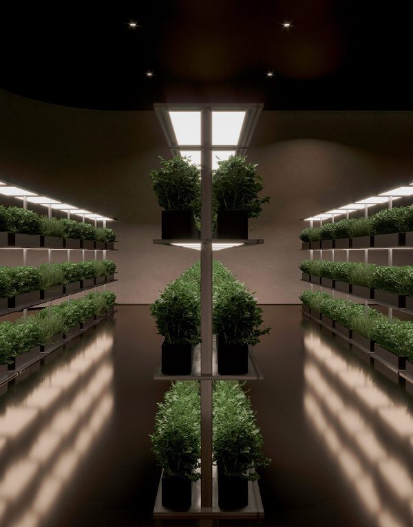 Underground House Plan B, Rumah Bawah Tanah di Ukraina