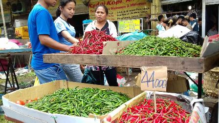 Cabai Vietnam Gempur Batam