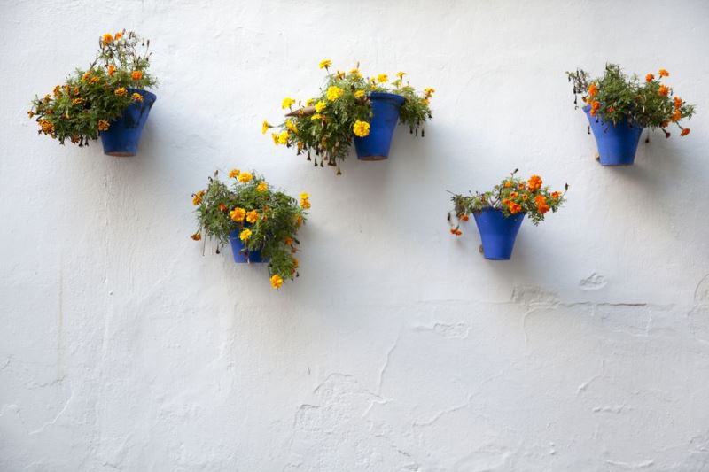 Inspirasi Taman Gantung di Rumah Minimalis