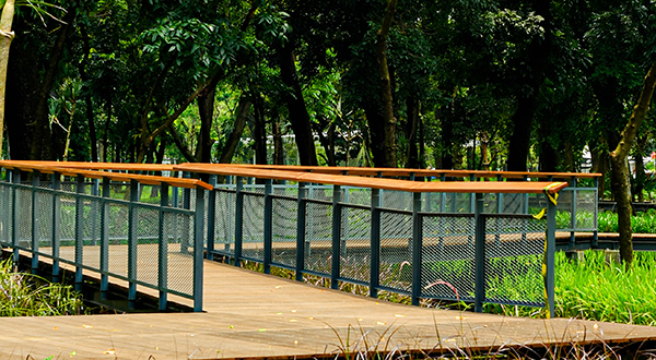 Wetland broadwalk di Tebet Eco Park. Foto: tebetecopark.id