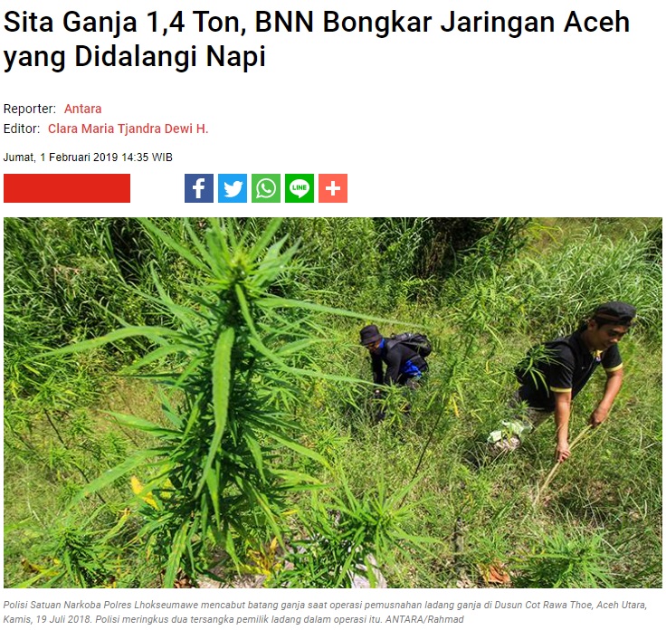 [Cek Fakta] Tiongkok Ekspor Truk Kontainer Berisi Narkoba ke Indonesia? Ini Faktanya