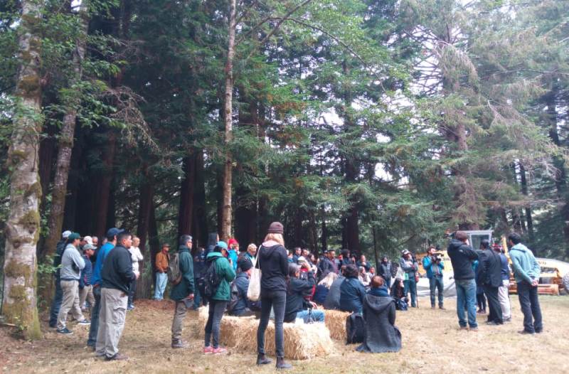 Menilik Cara Kelola Hutan Adat Yurok di California