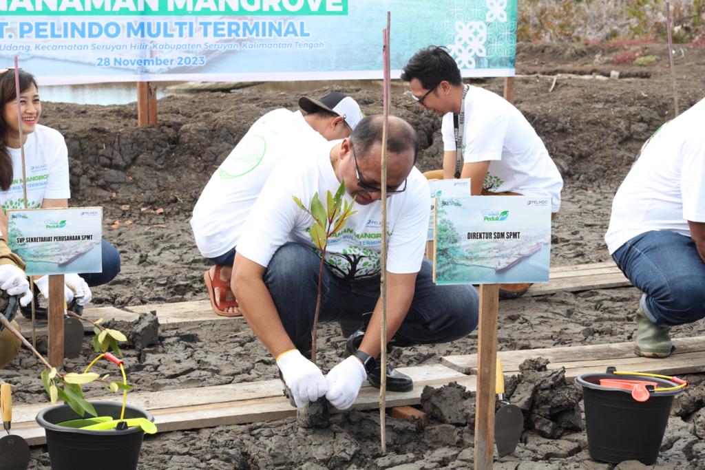 Hari Menanam Pohon Nasional, Pelindo Multi Terminal Tanam 8 Ribu Bibit Mangrove di Kalimantan
