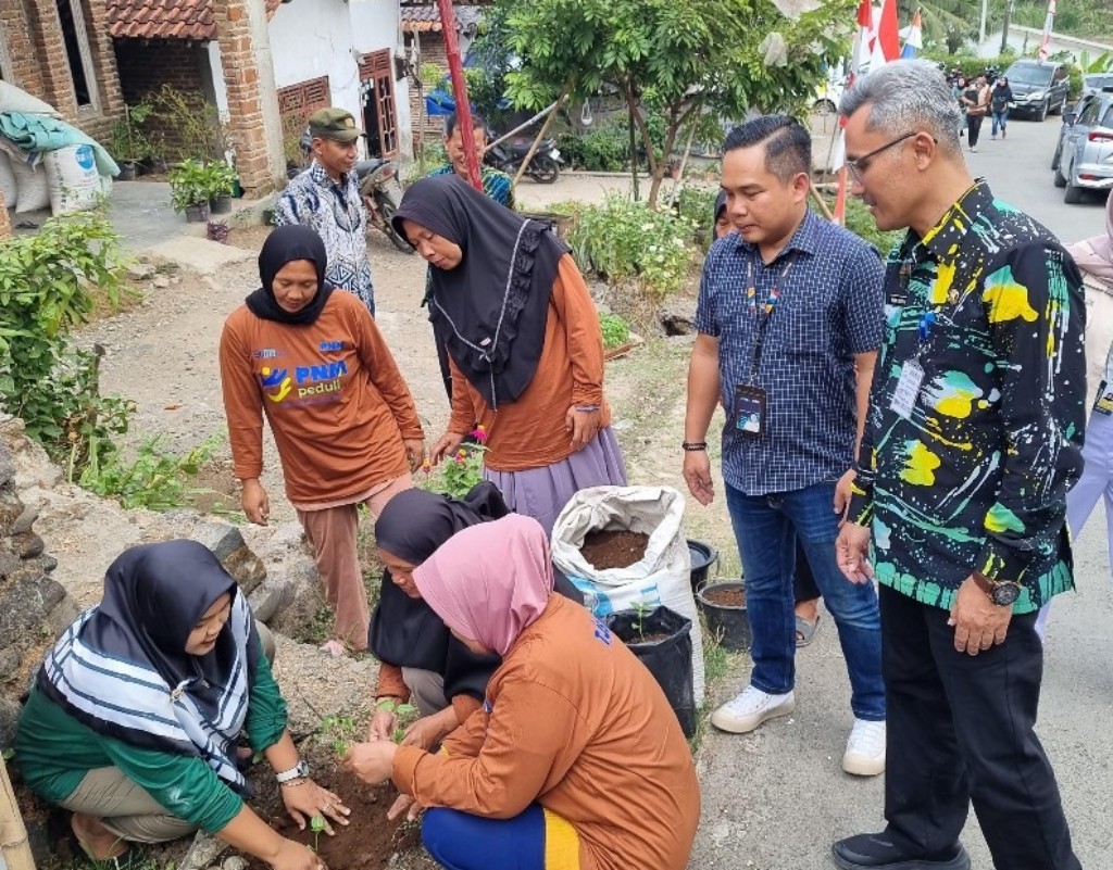 Harga Tidak Stabil, Warga Desa Dapat Bantuan 1.500 Bibit Cabai dari PNM