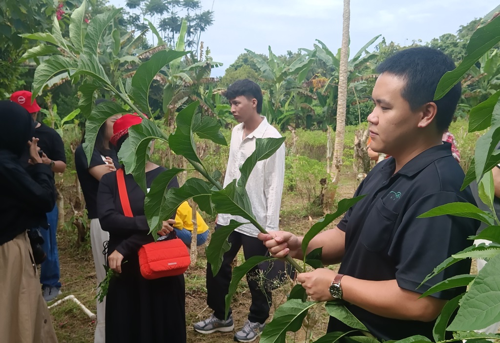 Mori Farm, Wajah Pertanian Berkelanjutan Brunei Darussalam