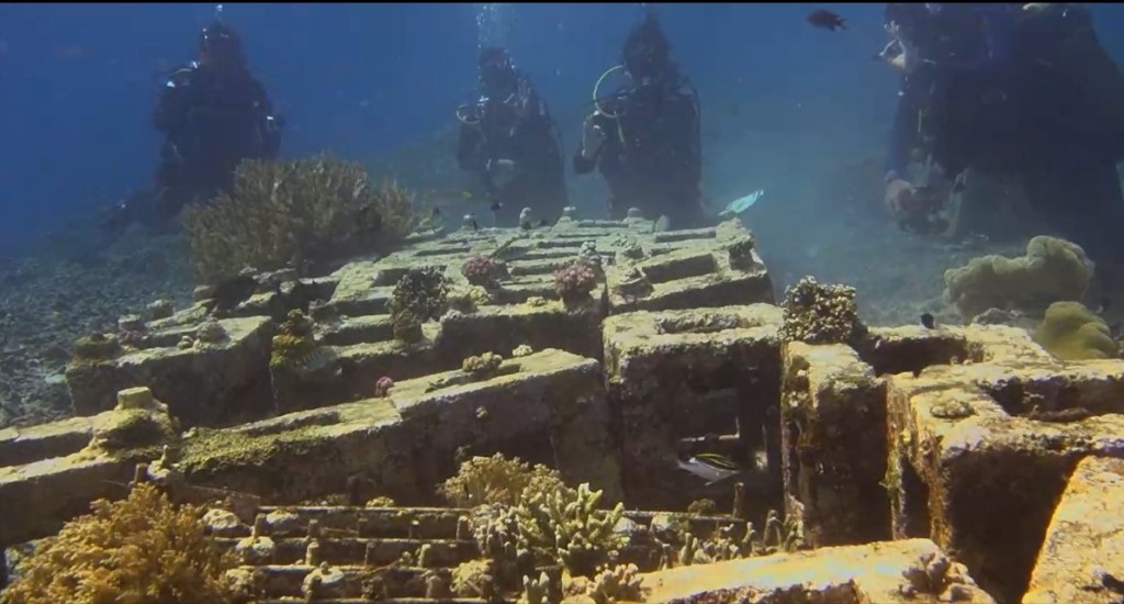 Menambang Sambil Menjaga Alam: Cerita dari Pulau Obi