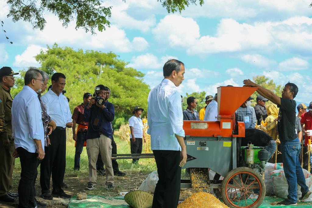 Panen Jagung Bersama Mentan di Sumbawa, Presiden Jokowi Tekankan Keseimbangan Harga