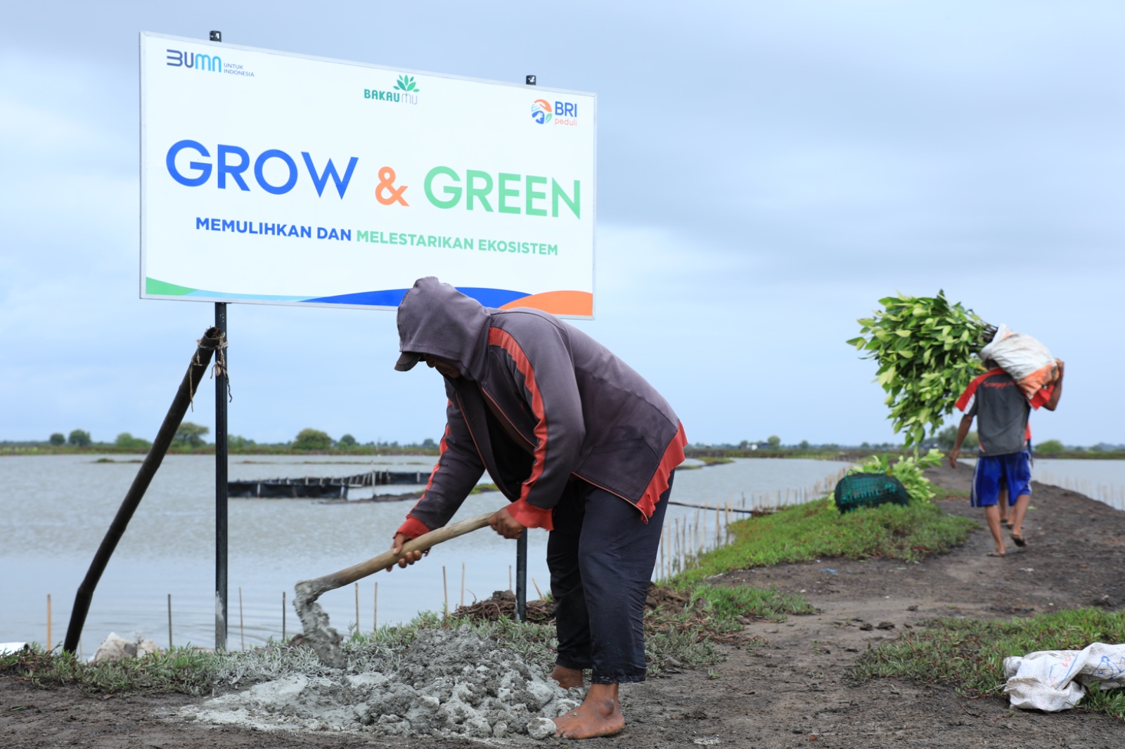 Berbagai Program BRI Dukung Net Zero Emission 2050