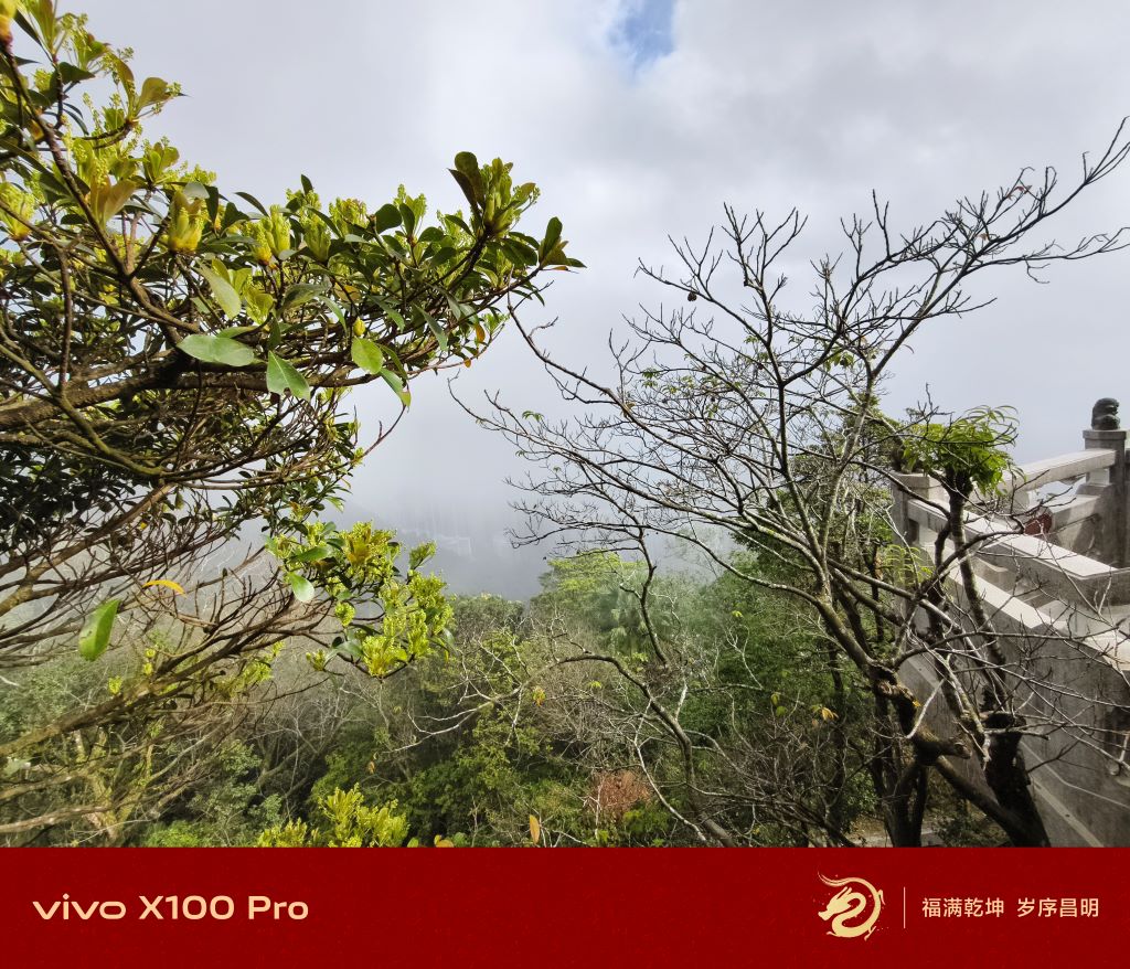 Penggemar Fotografi Merapat! Ini Dia Vivo X100 Pro