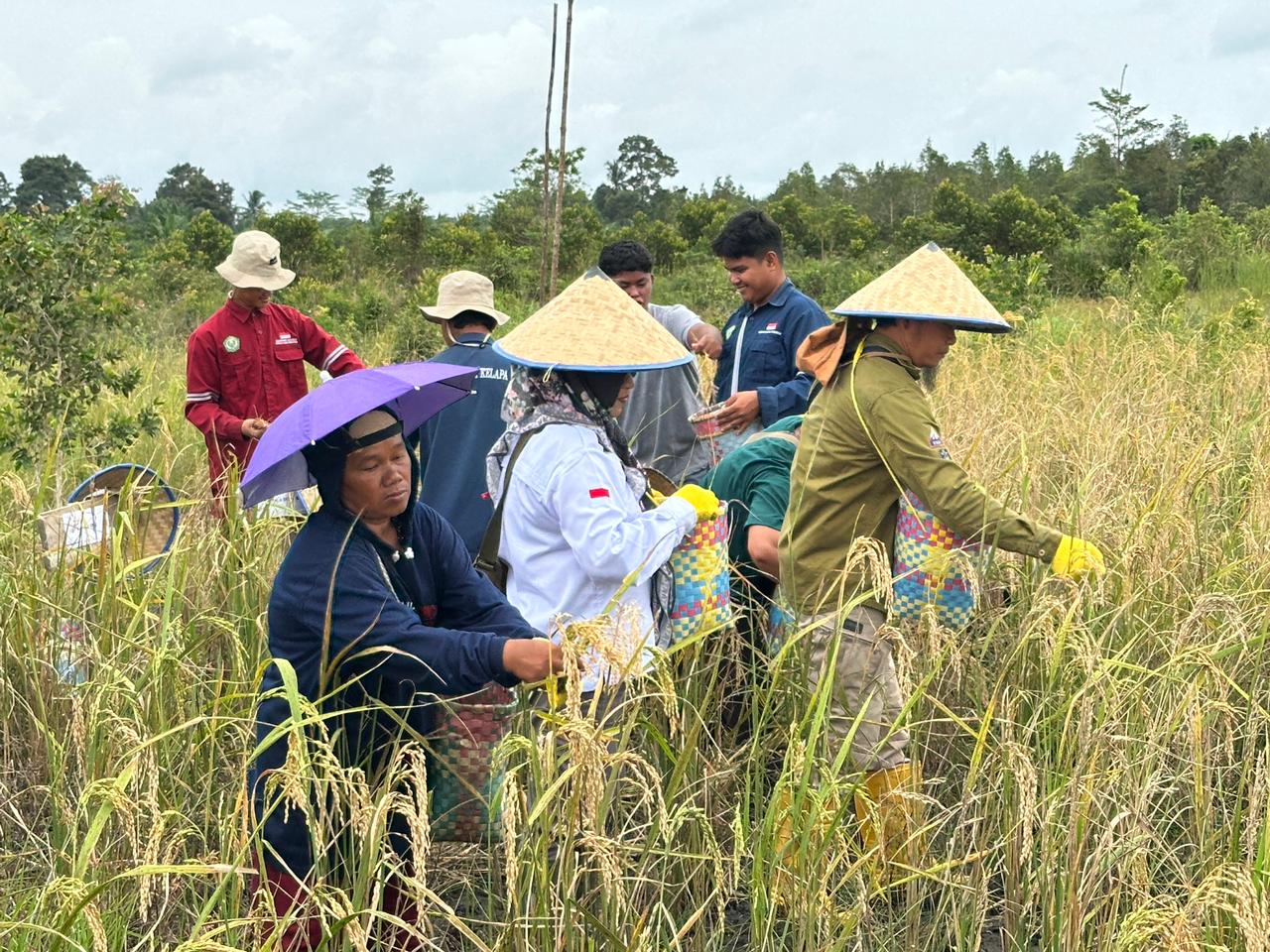 Kolaborasi Berkelanjutan Dukung Ketahanan Pangan Bangka Barat