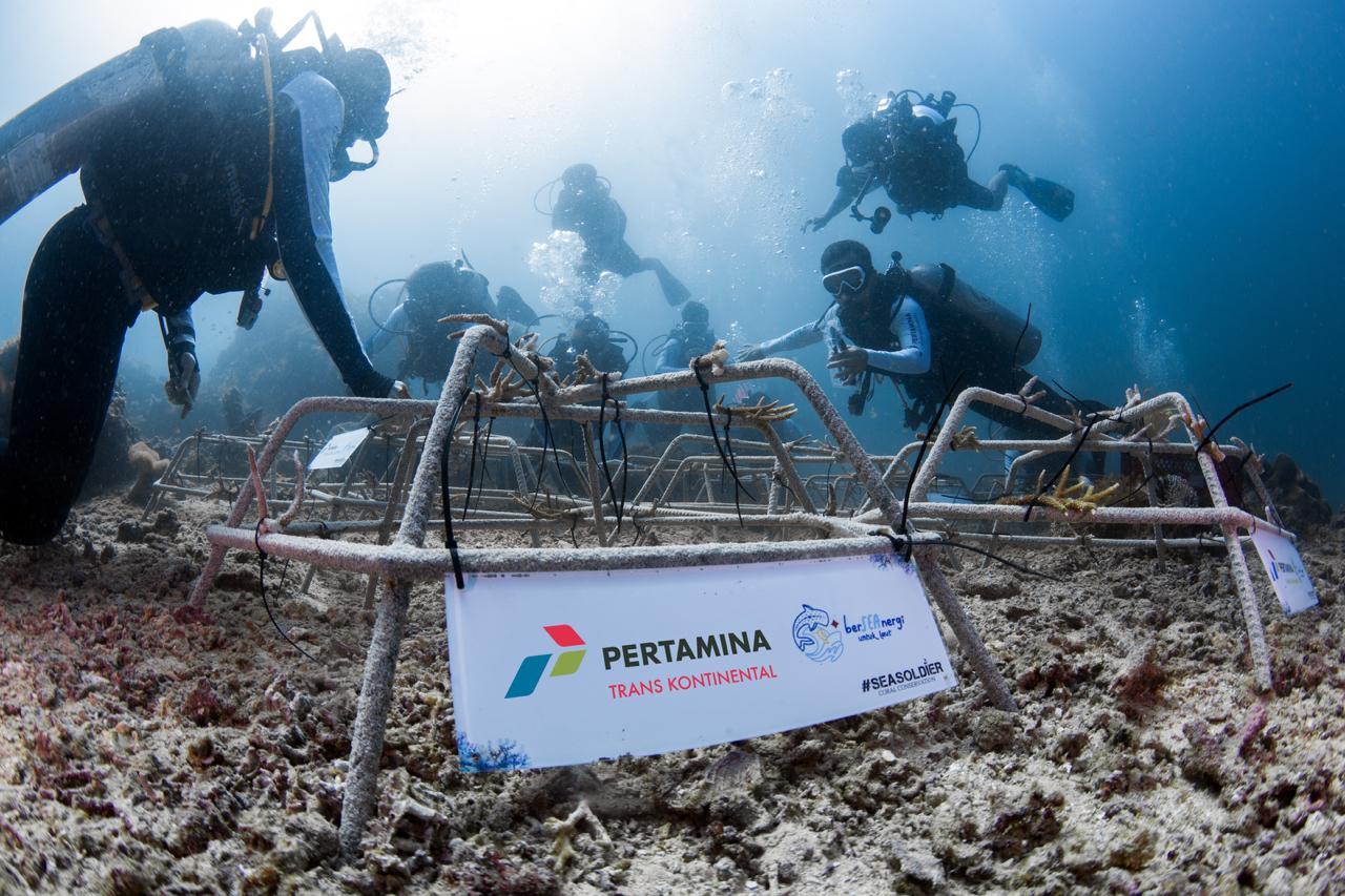 HUT RI ke-81, Merah Putih Berkibar 12 Meter di Bawah Laut Sulawesi Utara