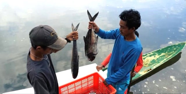Hilirisasi Nikel dan Dampaknya terhadap Peningkatan Kesejahteraan Masyarakat Pulau Obi