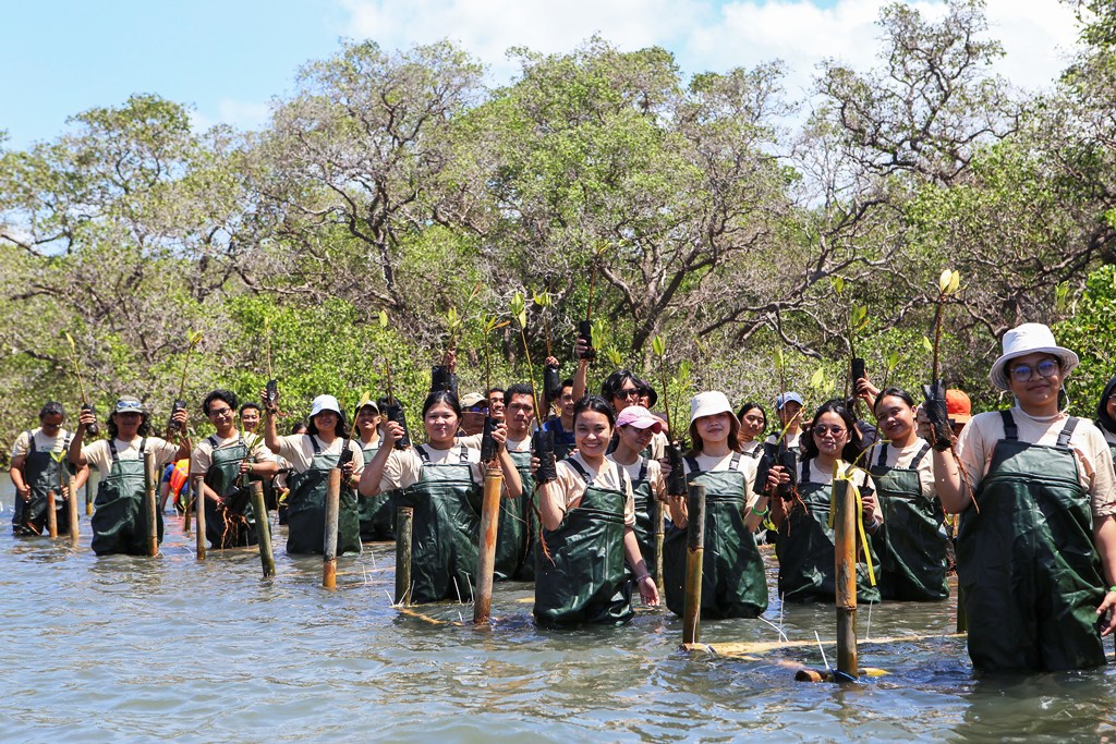 Penanaman Bibit Mangrove bersama Darling Squad(1)