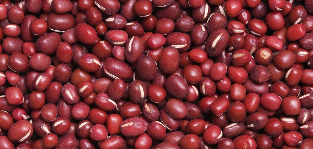 manfaat kacang merah (1)(1)