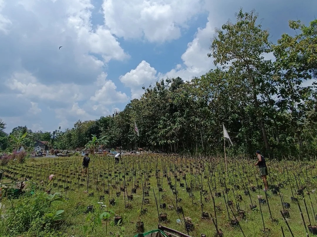 Dulu Tak Punya Arah, Kini Petani Punk Gunung Kidul Bangun Masa Depan dari Sawah