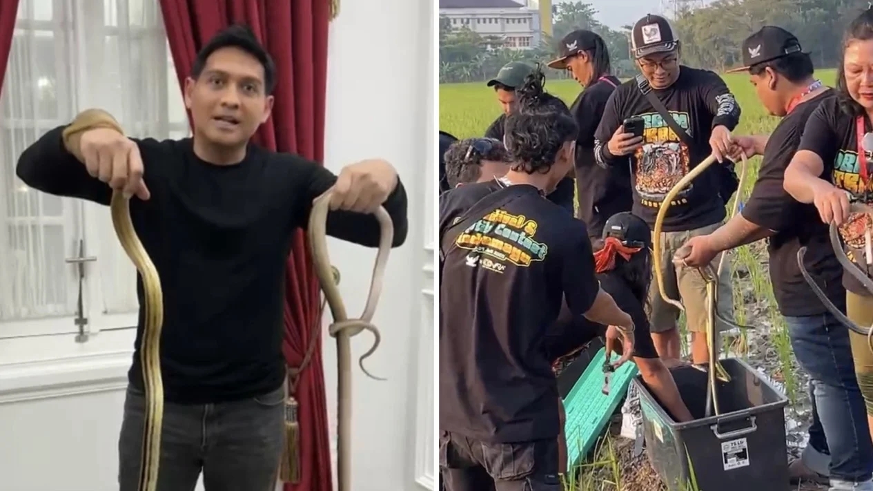 Lucky Hakim Gandeng Youtuber Lepas Ribuan Ular ke Sawah