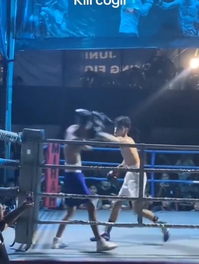 Viral Laga Satria Cogil Adu Tinju vs Maliki Somma, Netizen: Bukannya <i>Boxing</i> Malah <i>Moshing</i>