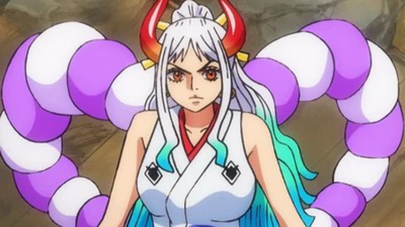 5 Karakter Perempuan Terkuat di One Piece