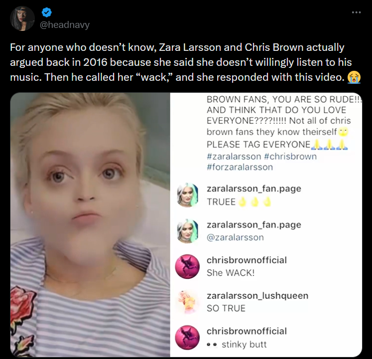 Zara Larsson Blokir Lagu Chris Brown di Spotify, Kenapa?
