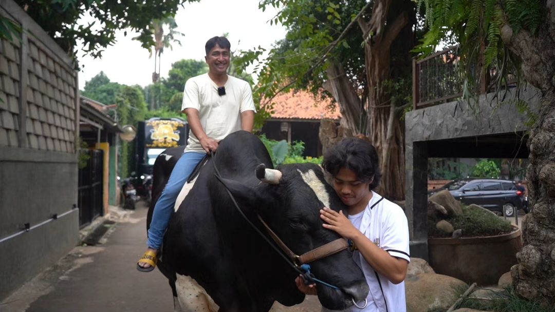 Ini 5 Artis dengan Sapi Kurban Lebih dari 1 Ton!