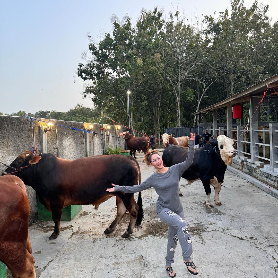 Ini 5 Artis dengan Sapi Kurban Lebih dari 1 Ton!