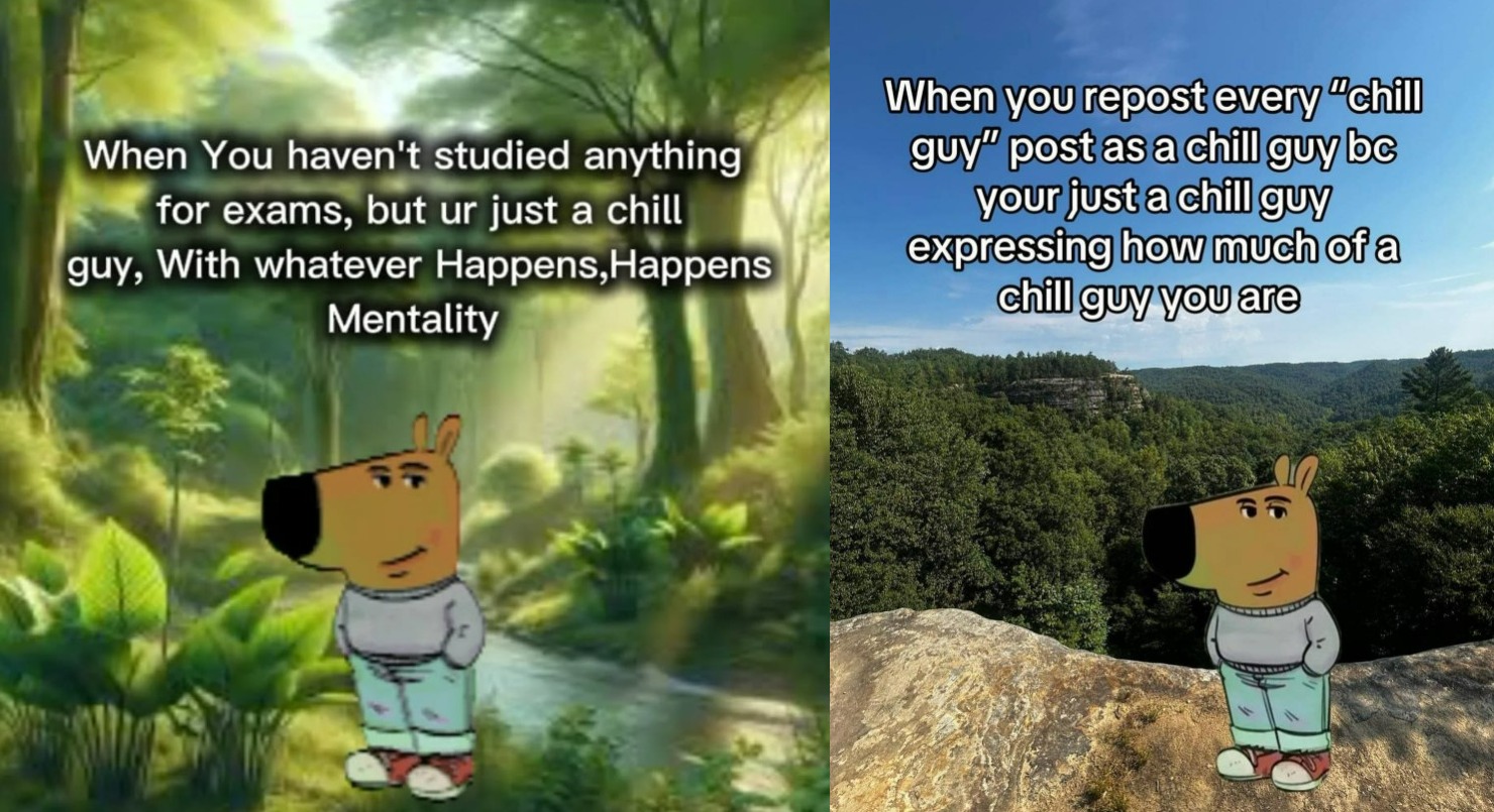 Asal Usul Meme Chill Guy yang Viral di Medsos