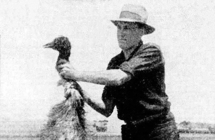 Perang Emu: Ketika Australia Kalah Melawan Unggas